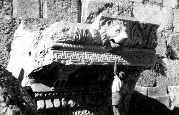 b23_Baalbek_J_LionKing