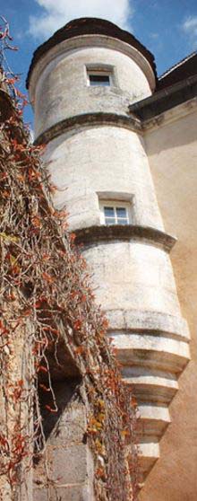 towerSM