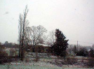 DSCF0040