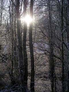 PICT0436