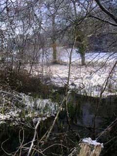 PICT0452