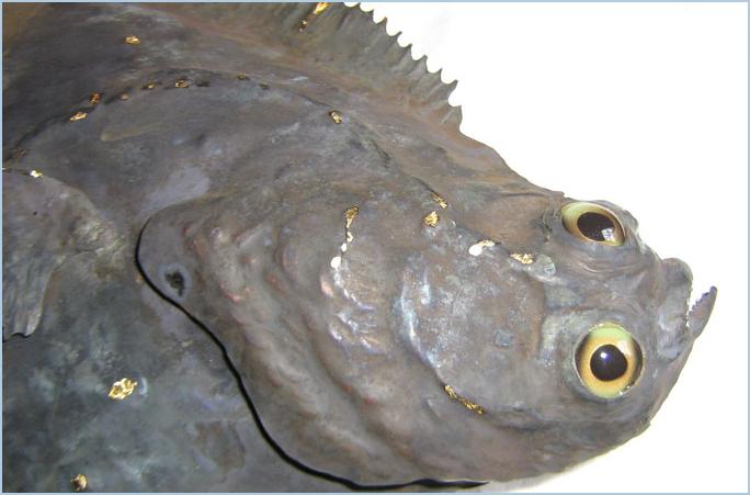 flatfishwithdarkpatinagldlg
