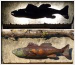 Zander by day and night